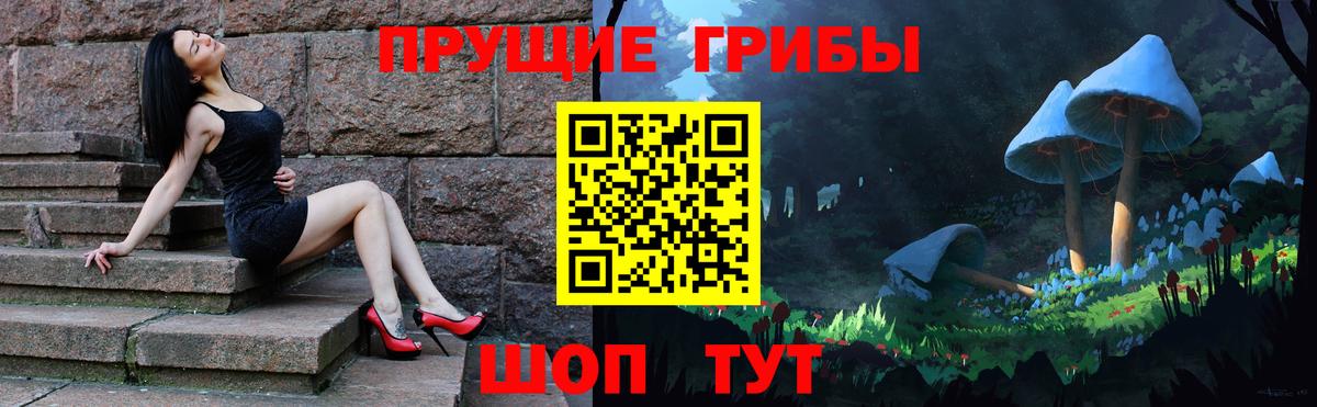 Псилоцибиновые грибы Cubensis Саратов